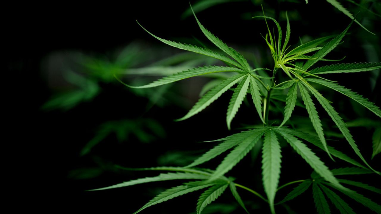 Homem é enforcado em Singapura por tentar traficar 1 kg de maconha