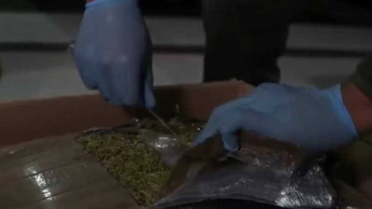 Maconha apreendida na Colômbia é queimada e fumaça incomoda: ‘Fumaceira horrível’