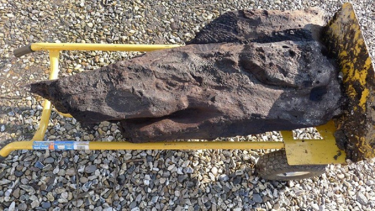 Mais antiga da Grã-Bretanha: Madeira entalhada de 6 mil anos é encontrada