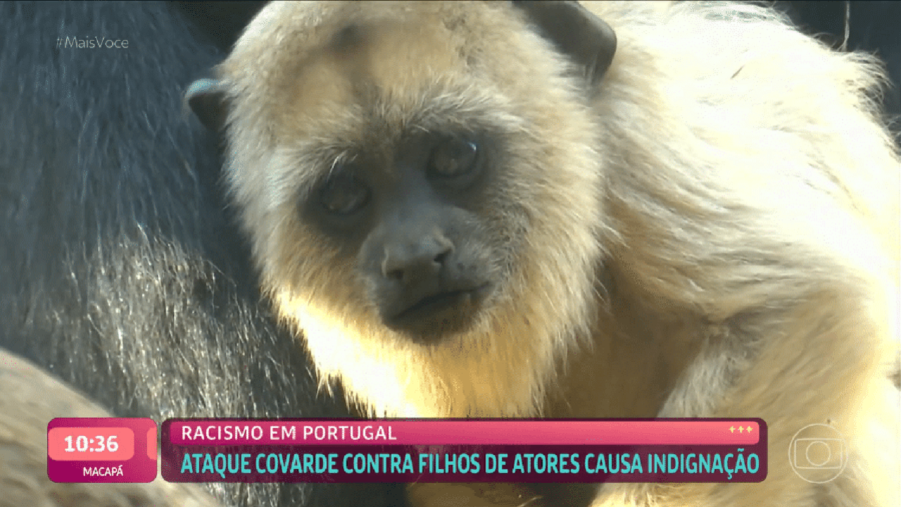 ‘Mais Você’: Ana Maria Braga demite profissional que colocou imagens de macaco em matéria sobre racismo