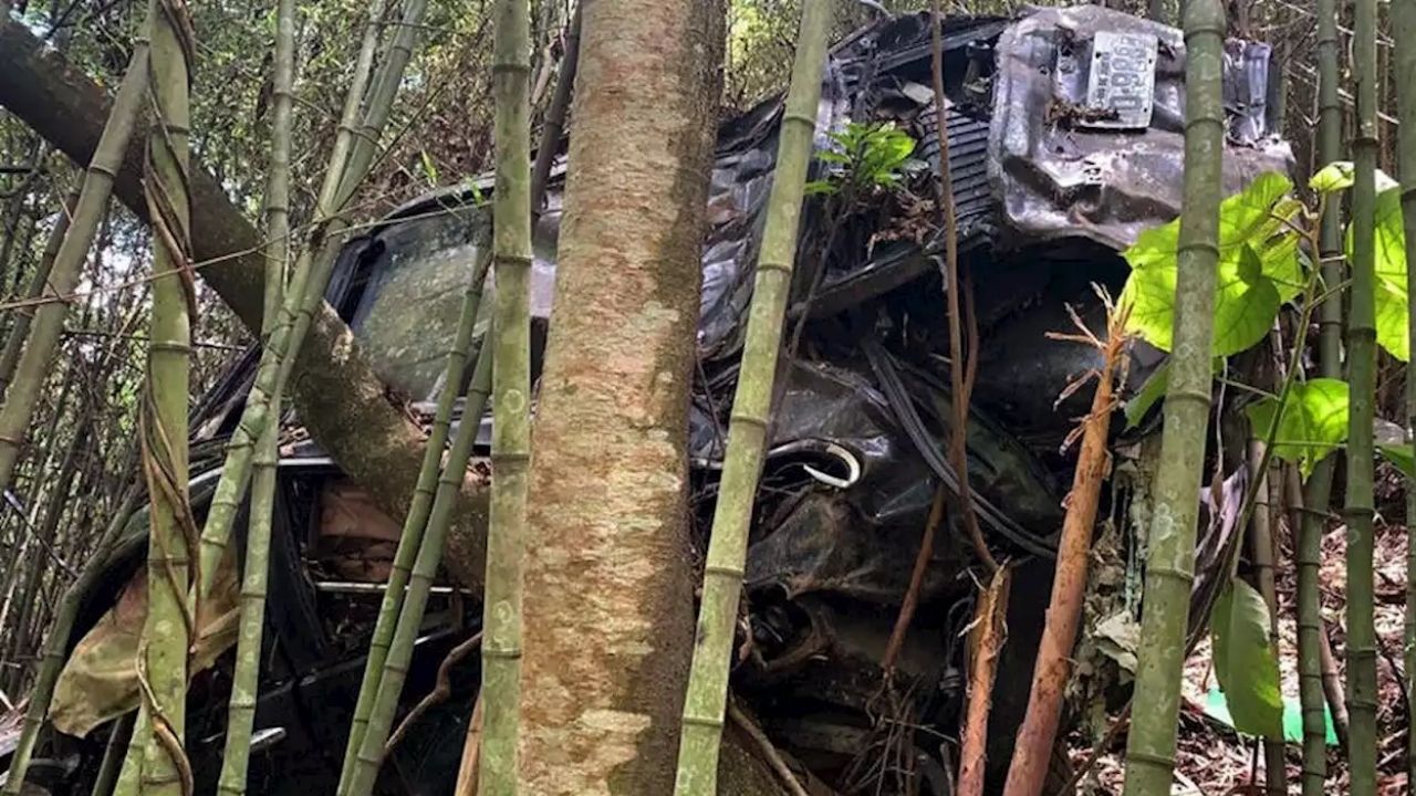 Carro do irmão de Marco Ricca é encontrado destruído e com ossada ao lado de rodovia em SP