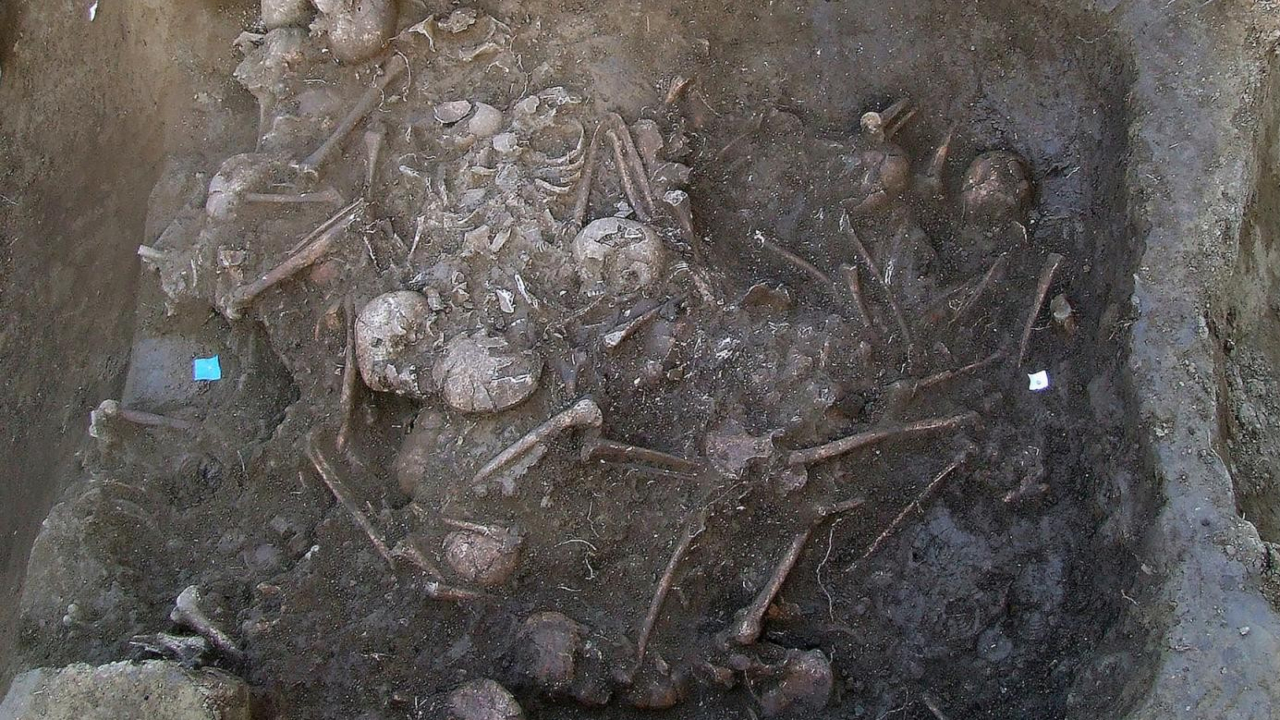 Evidências de massacre ocorrido 6,2 mil anos atrás são descobertas em sítio da Croácia