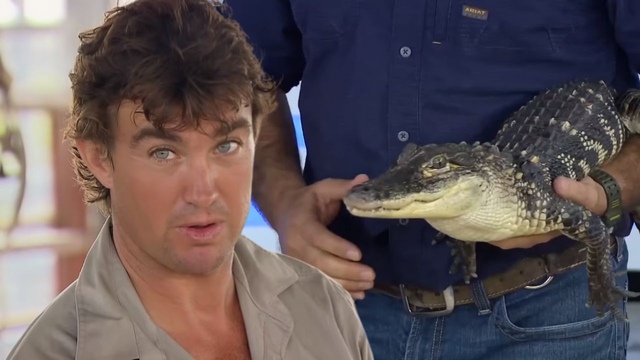 5 curiosidades sobre Matt Wright, sucesso na Netflix ao dominar crocodilos