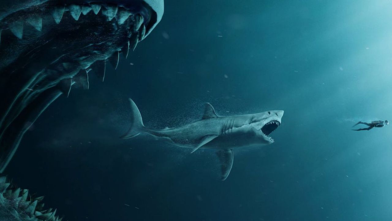 Megalodon podia devorar baleia em ‘apenas cinco mordidas’, diz pesquisa