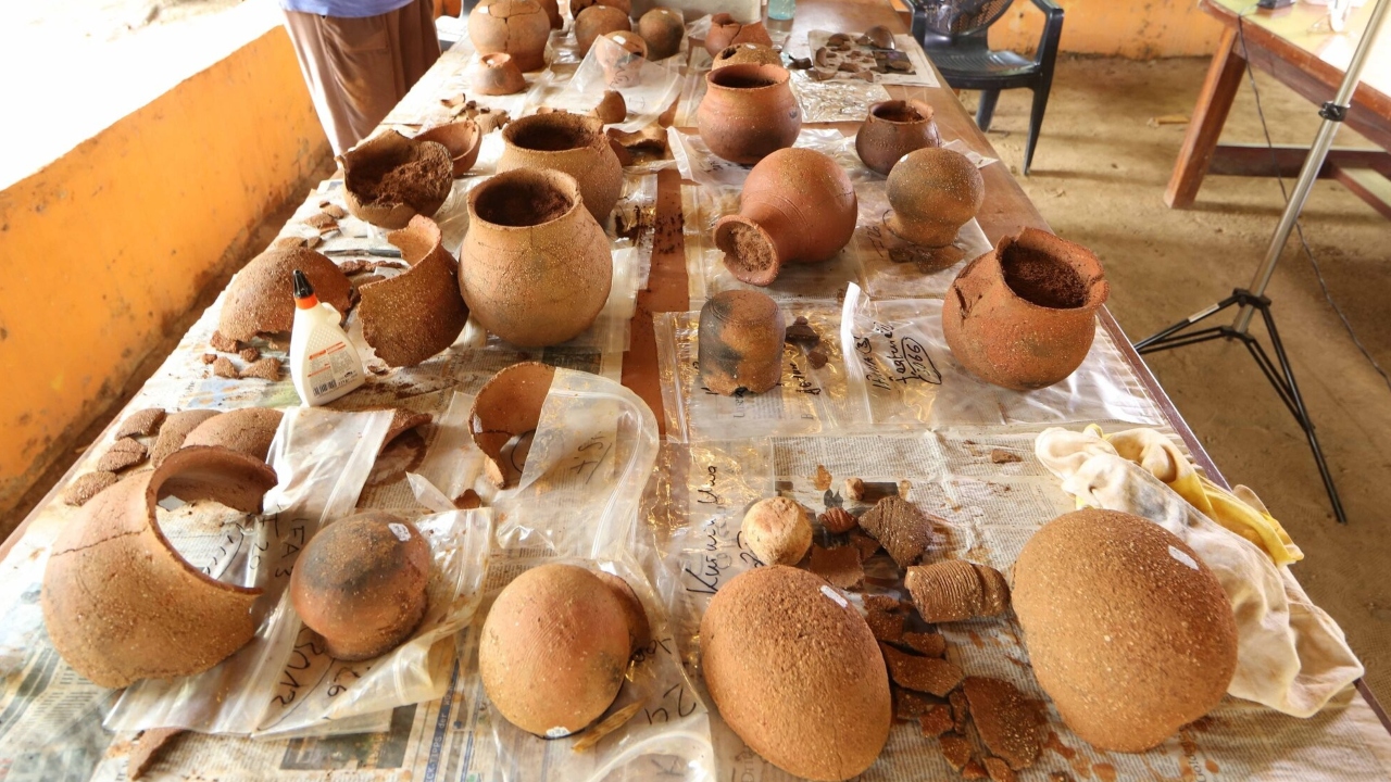 Pela primeira vez, análises em cerâmicas evidenciam busca por mel na pré-história da África