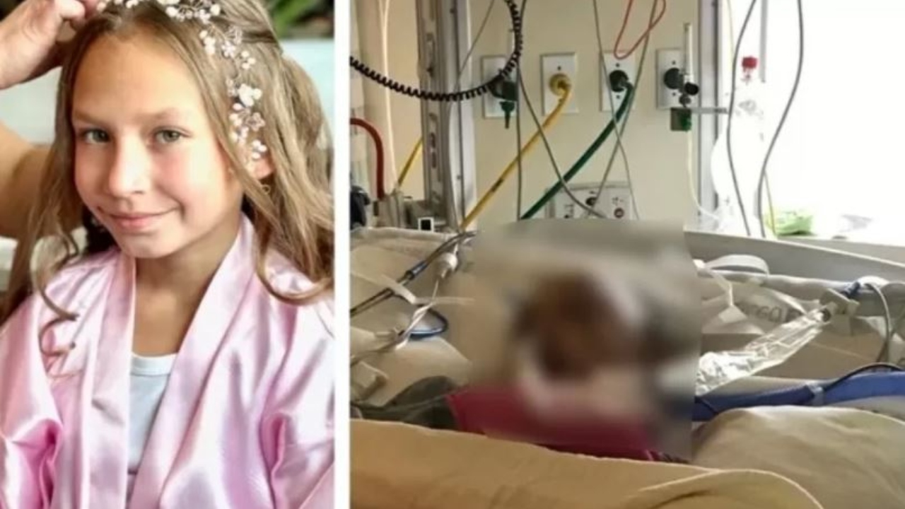 Menina de 9 anos é atacada por puma nos Estados Unidos