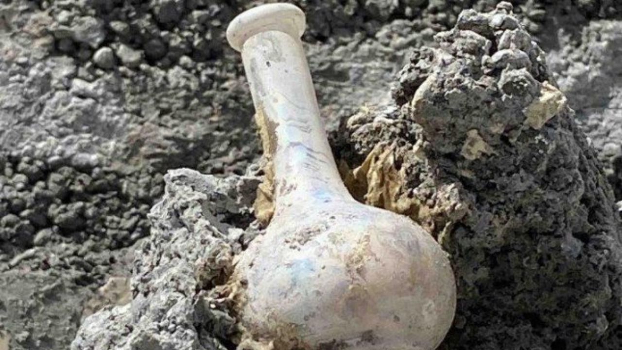 Mensagem em garrafa escrita por pedreiros há 85 anos é descoberta na Nova Zelândia