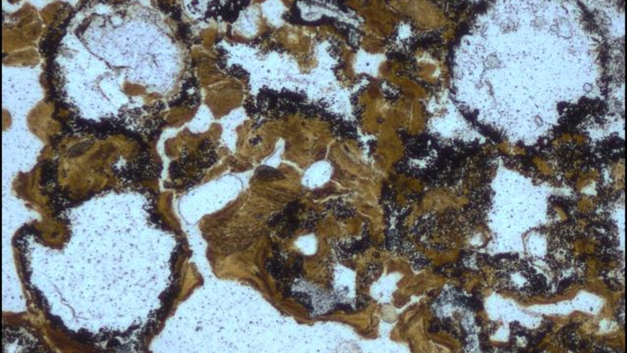 Evidência mais antiga de meteorito na Terra é encontrada na Austrália