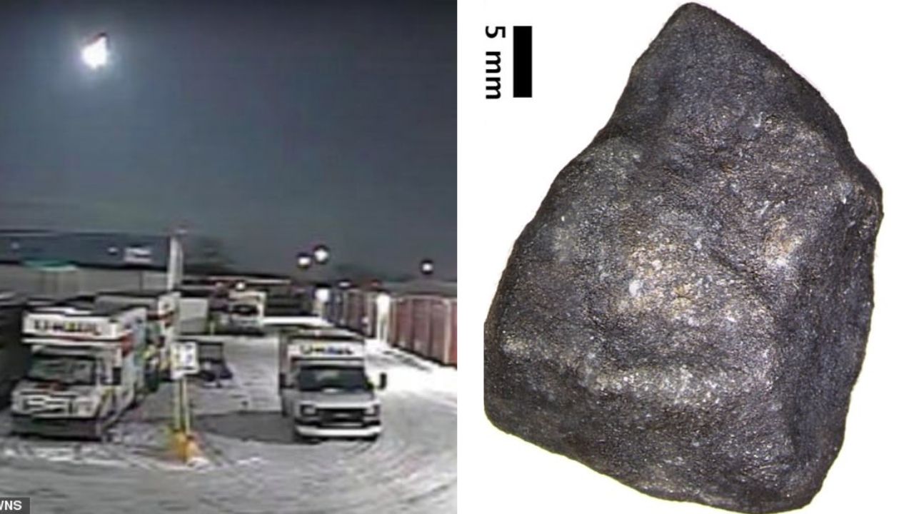 Meteorito que caiu nos EUA em 2018 pode ajudar cientistas a entenderem a origem da vida