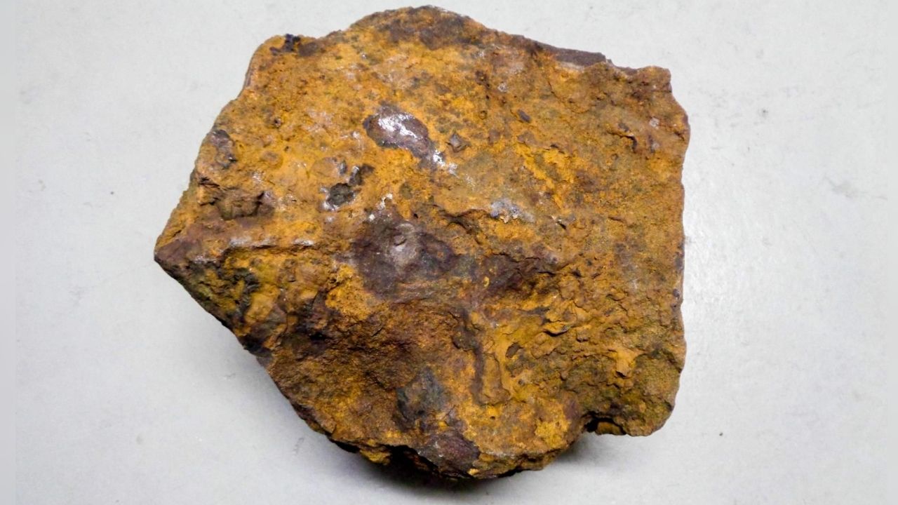 Maior meteorito da Alemanha é descoberto após passar décadas em quintal