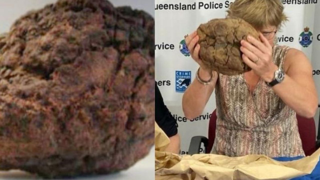 Polícia australiana encontra meteorito de 5 bilhões de anos na casa de usuário de drogas
