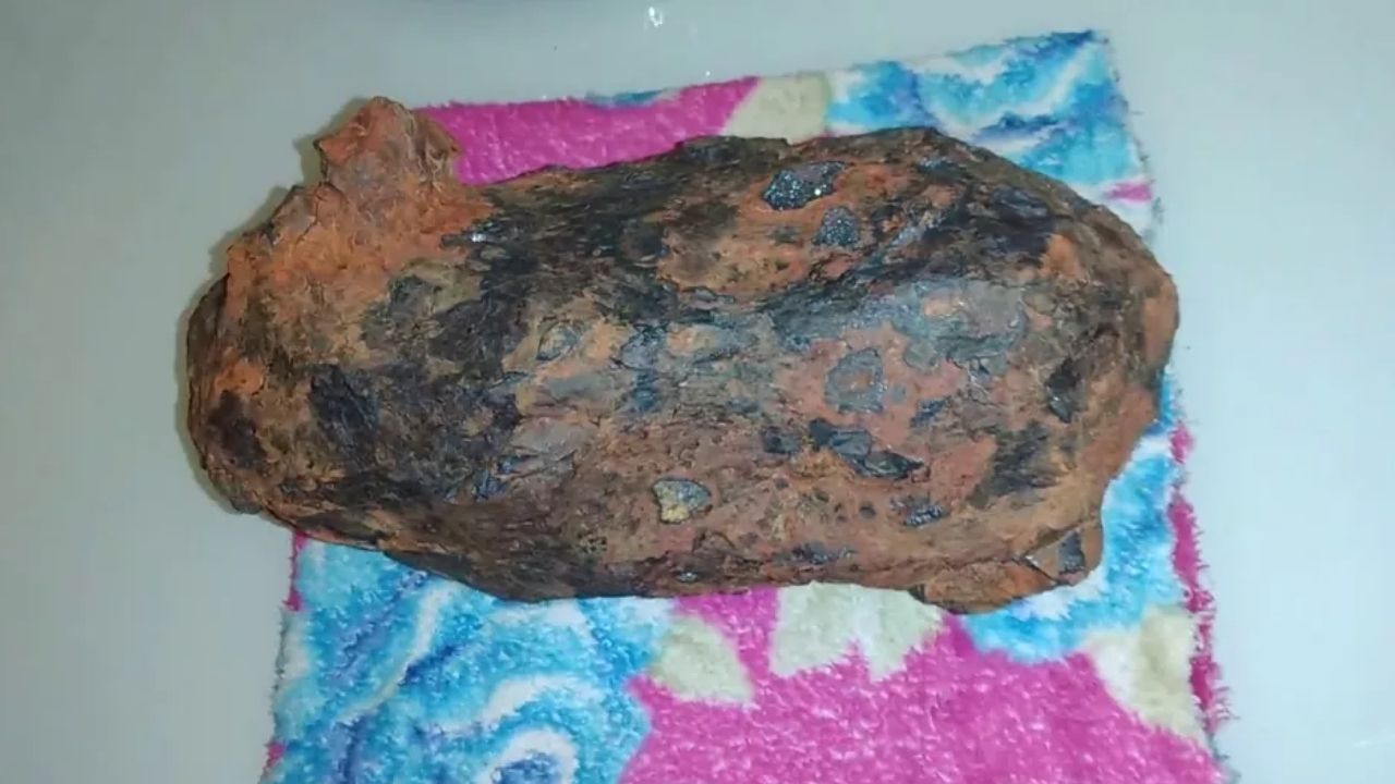 Meteorito de 26 kg encontrado na Paraíba foi decoração de mesa por 6 anos