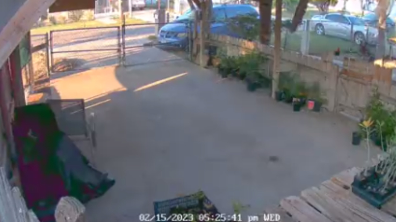 Meteoro de meia tonelada cai no Texas; veja vídeo
