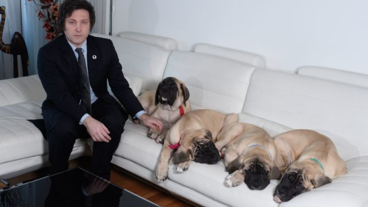 Javier Milei: Candidato à Presidência na Argentina clonou cachorros e contratou médium