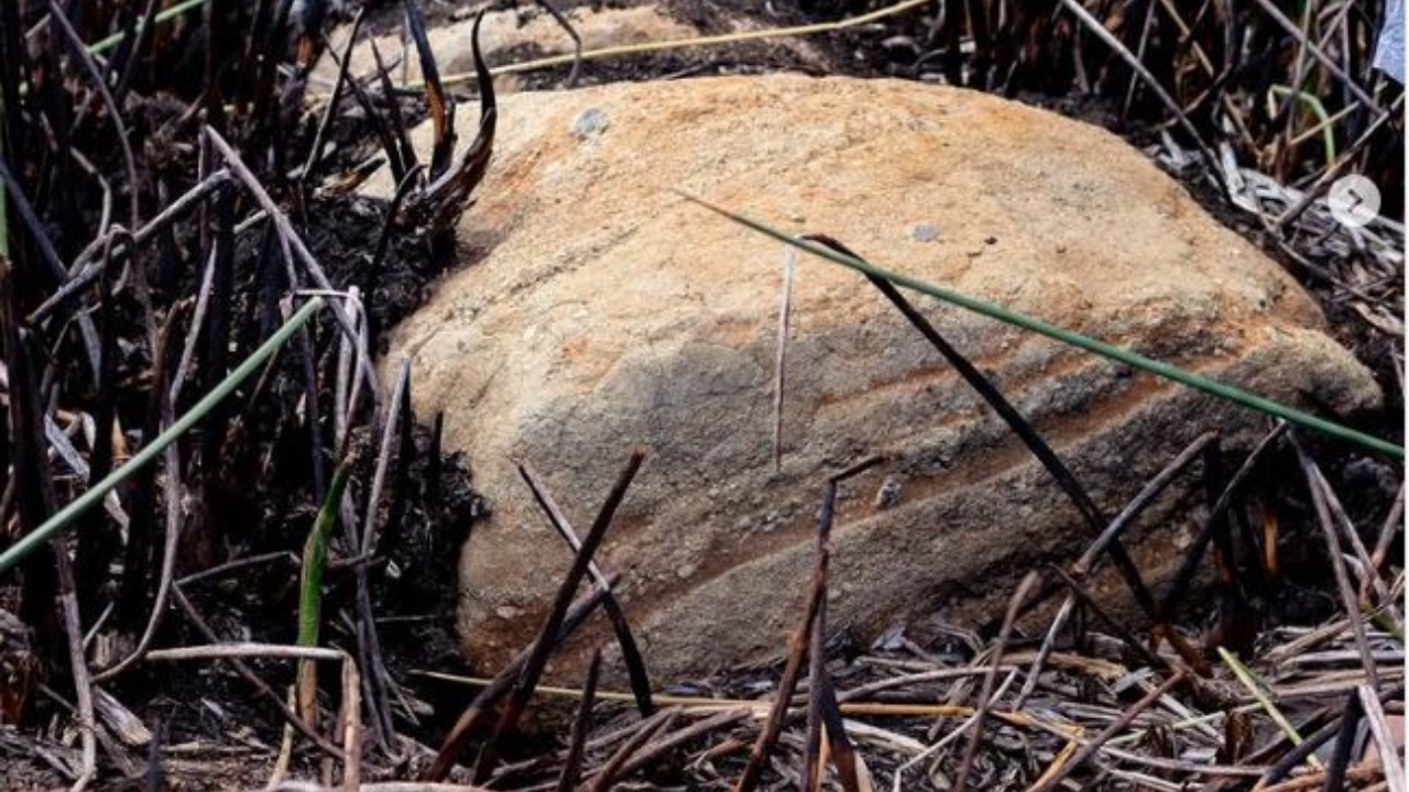 Nova estátua é descoberta na fascinante Ilha de Páscoa