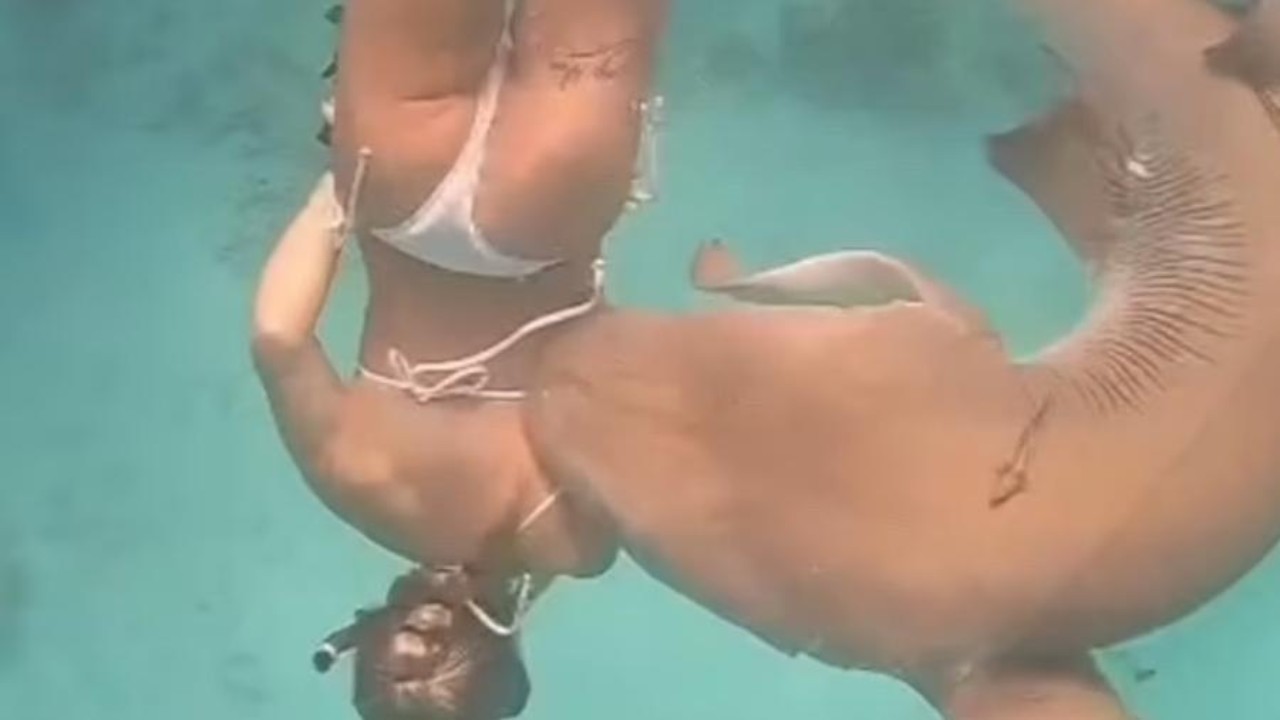 Vídeo capta instante em que mulher é mordida por tubarão nas Maldivas