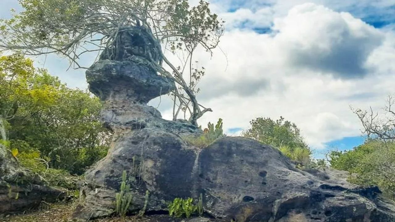 Depois de um século, monólito é reencontrado em parque arqueológico do Pará devido à foto em rede social