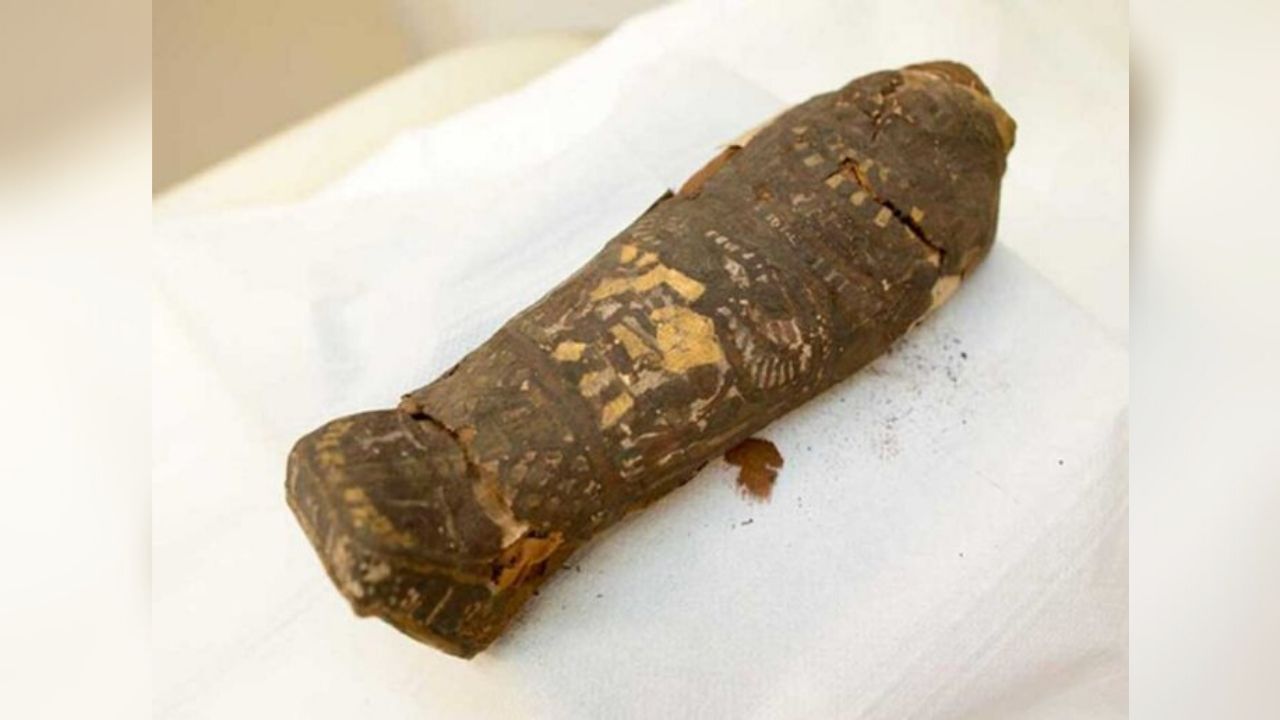 Múmia egípcia de 2 mil anos surpreende arqueólogos após estudo