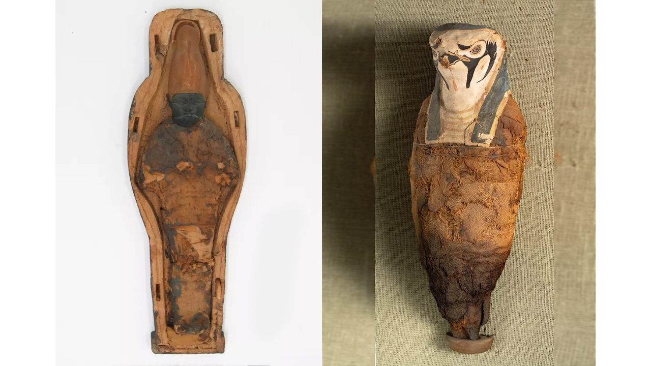 Após tomografia, cientistas descobrem surpresa inusitada sobre múmias: elas não eram humanas