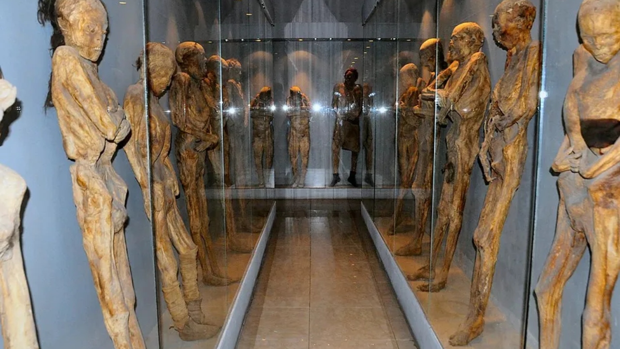 Cientistas afirmam que exposição de múmias no México pode trazer riscos à saúde