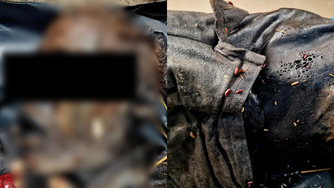 Homem é naturalmente mumificado 2 semanas depois de morrer, na Bulgária