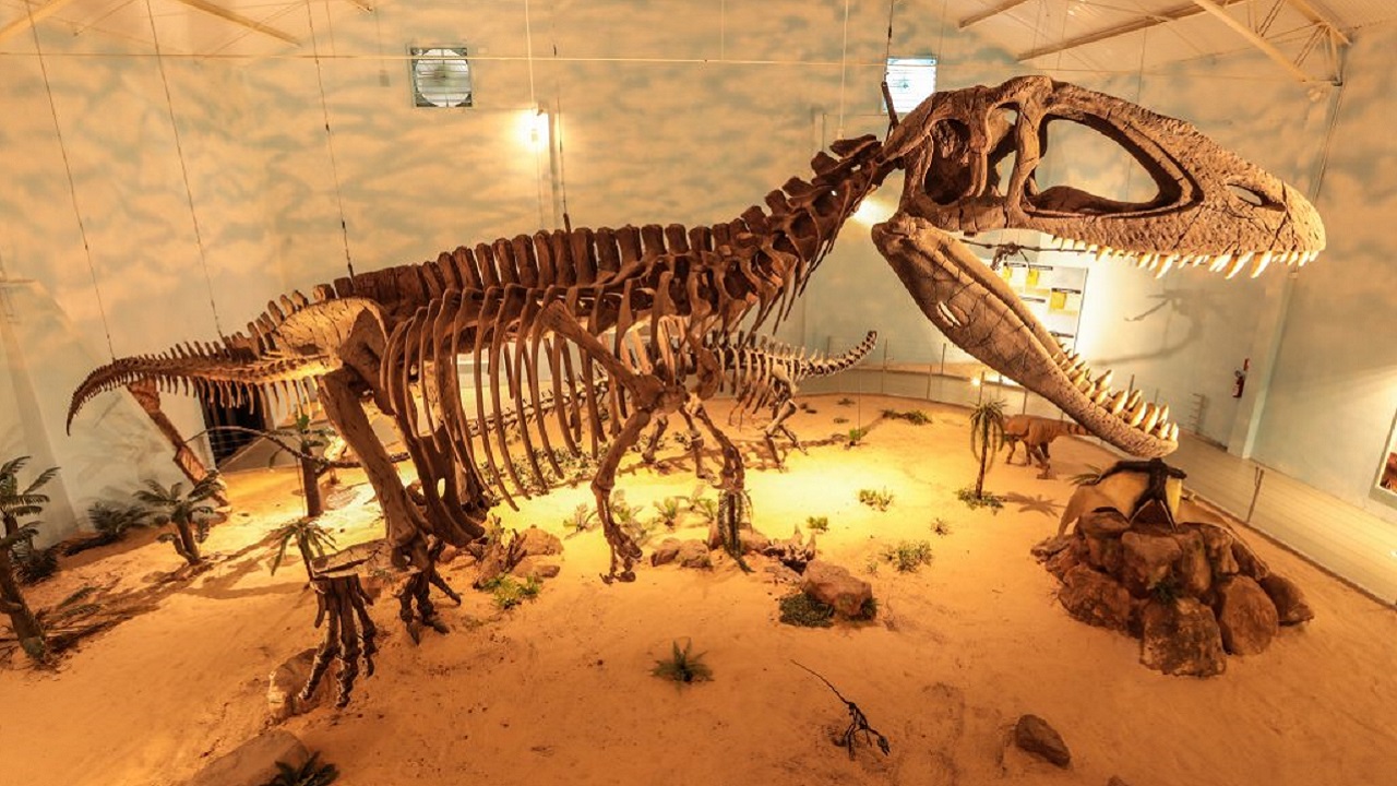 Zooparque Itatiba (SP) recebe maior museu de história natural da América Latina