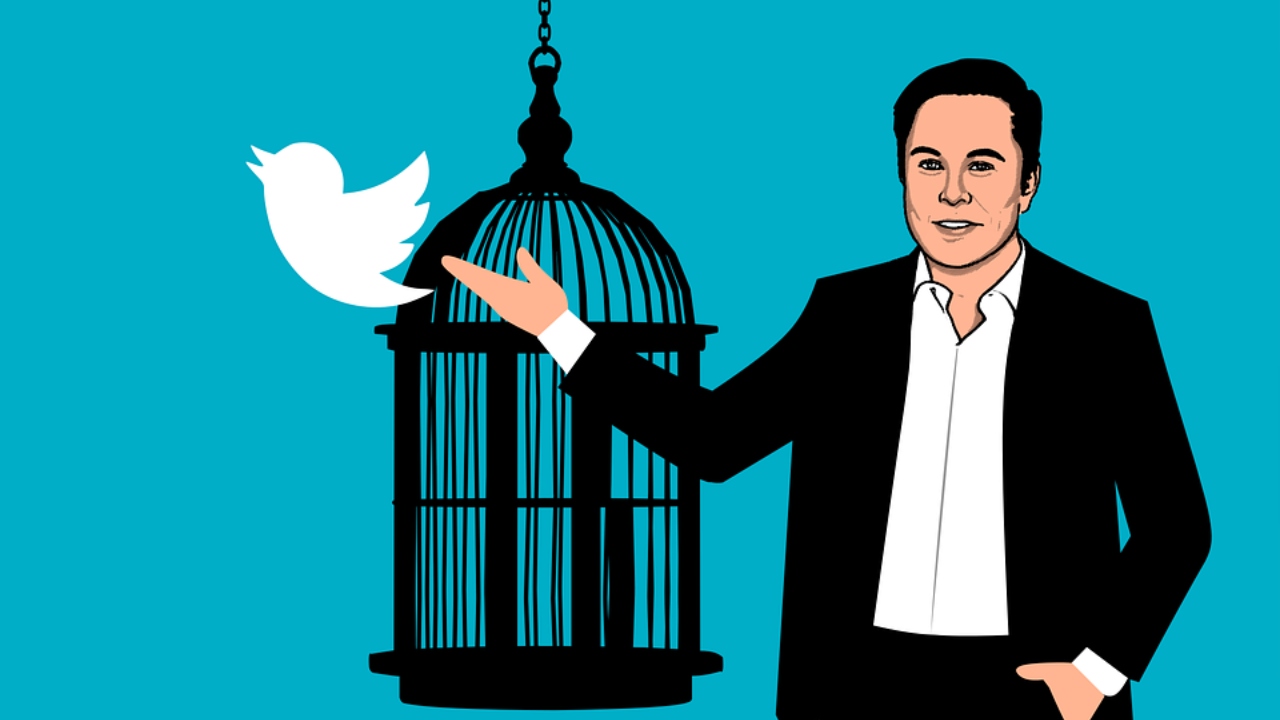 Propostas de Musk para o Twitter podem colaborar com fake news, avalia advogado