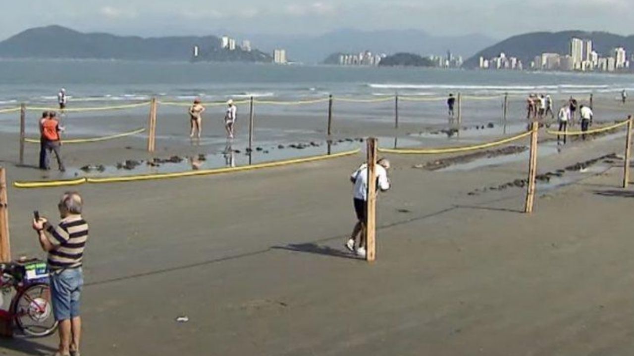 Quadro de 1895 pode identificar navio misterioso que encalhou em Santos