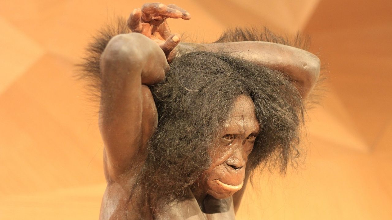 Neandertais teriam usado os polegares de forma diferente dos humanos modernos, afirma pesquisa