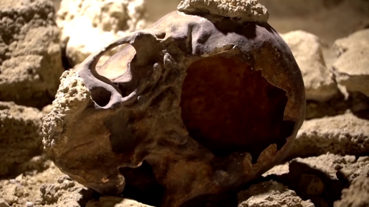 Restos de nove neandertais são encontrados em caverna na Itália