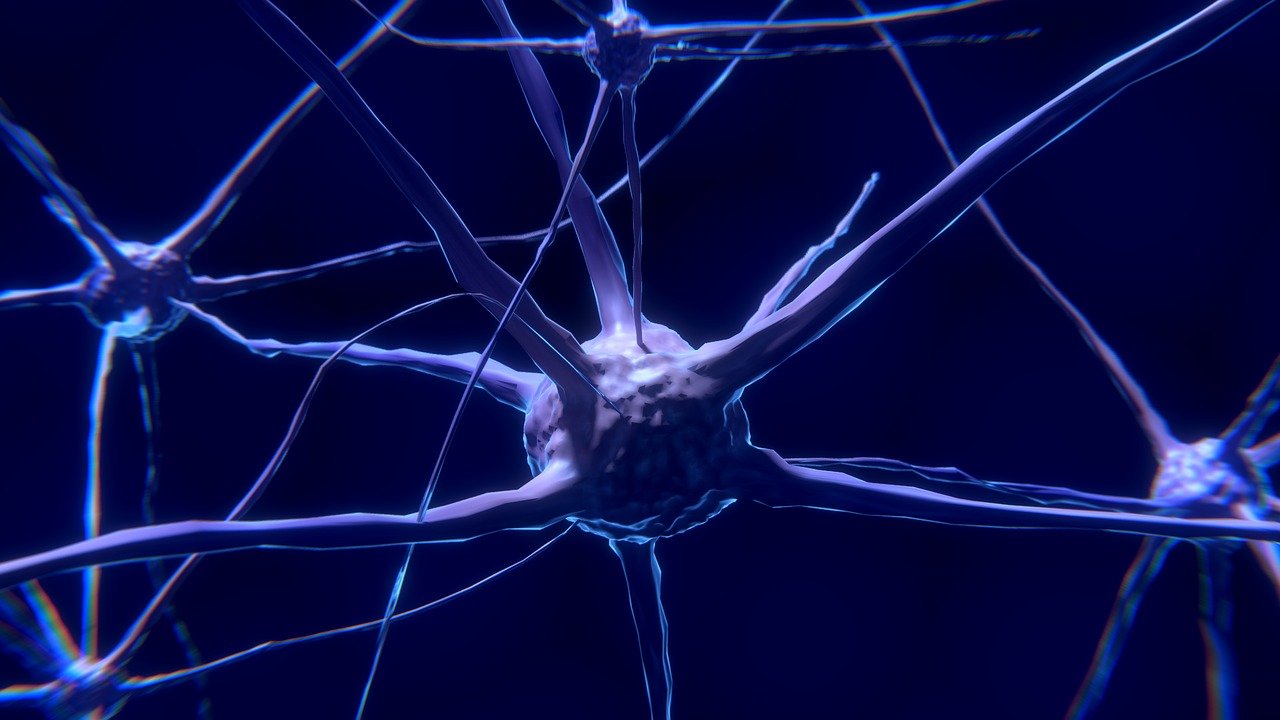A impressionante descoberta do neurônio
