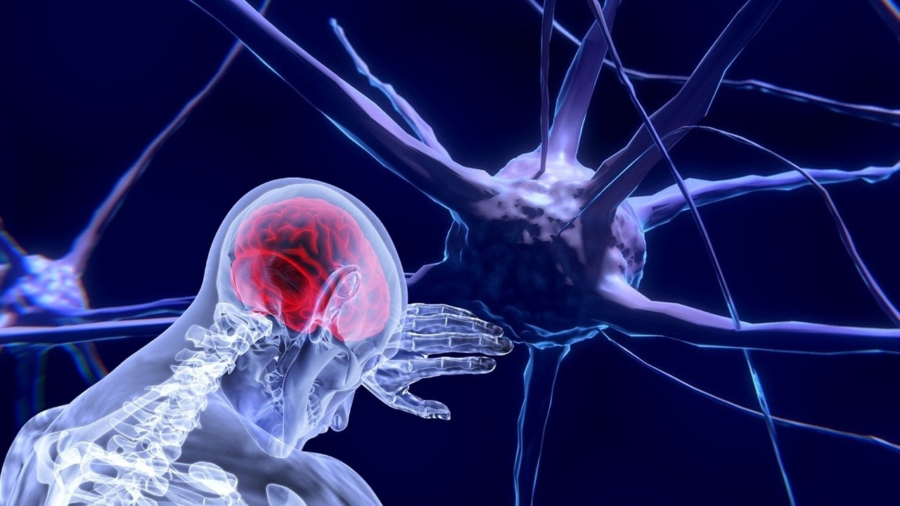 A tecnologia foi um importante fator para o desenvolvimento da neurociência