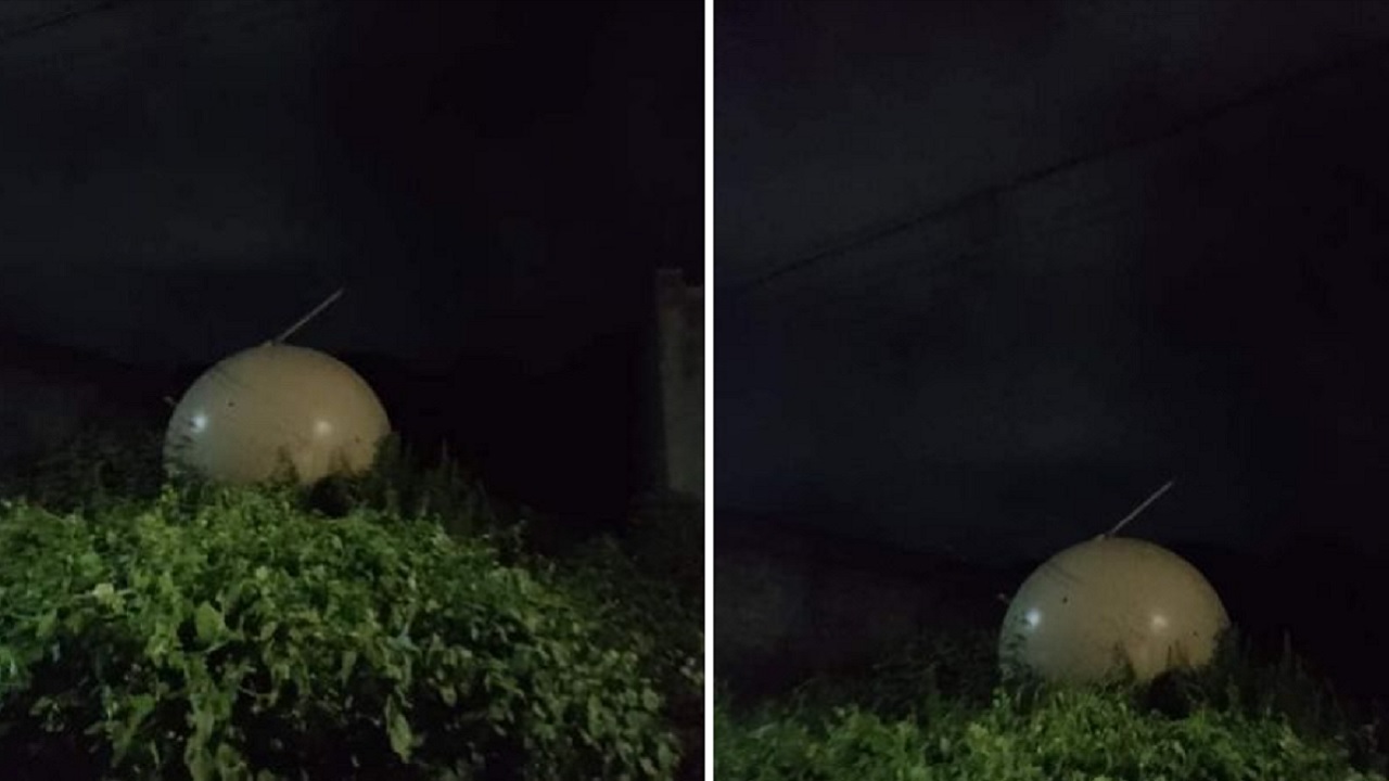 Objeto misterioso cai em árvore e gera incertezas entre mexicanos