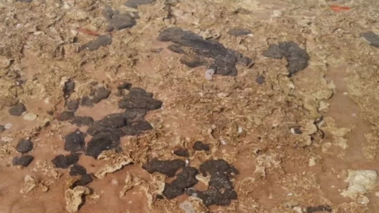 Novas manchas de óleo são registradas nas águas da Bahia