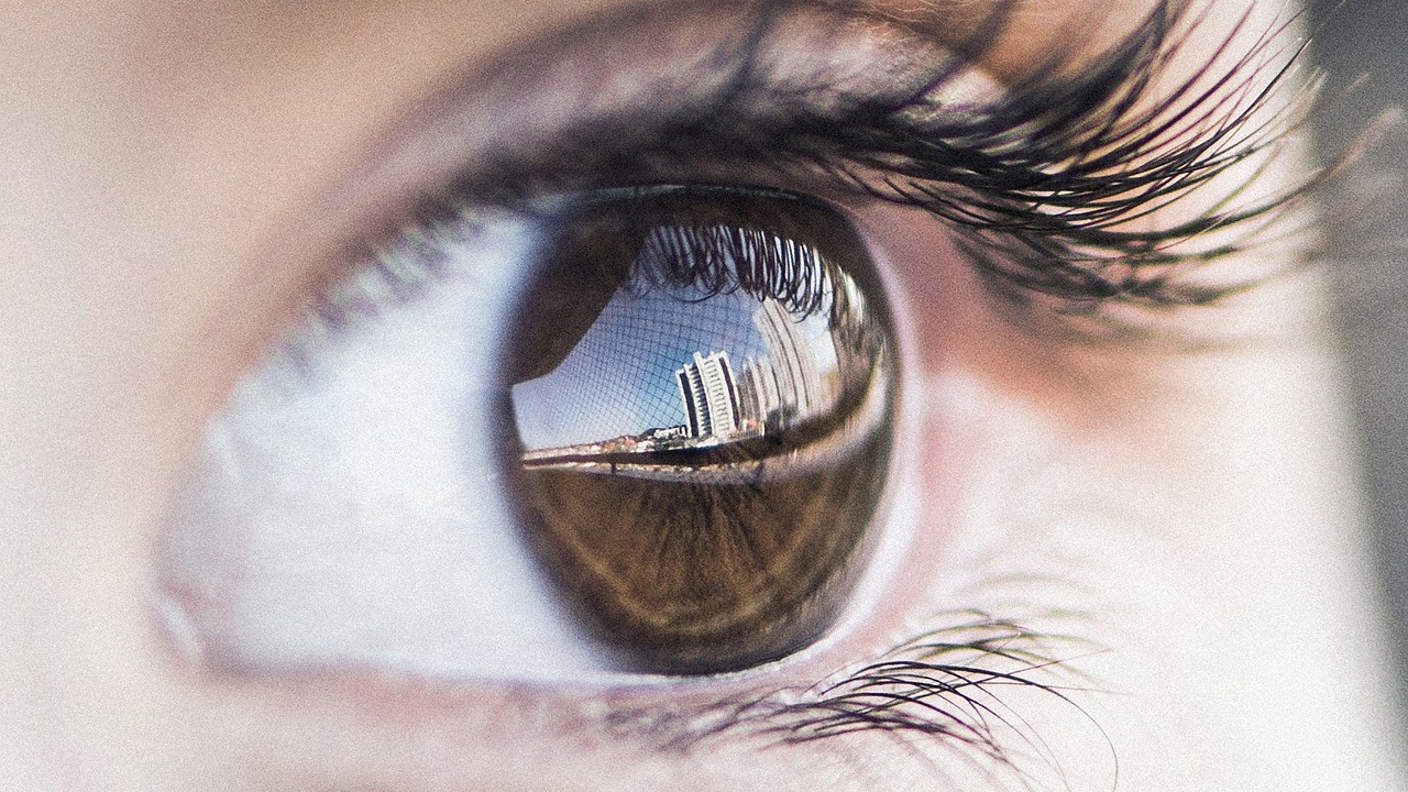 Estudo diz que olhos foram originados por ancestral “ciclope”