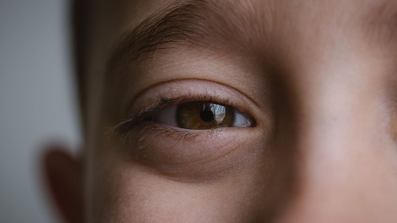 Pesquisa ‘ressuscita’ olhos de cadáveres, devolvendo momentâneo ‘brilho de vida’