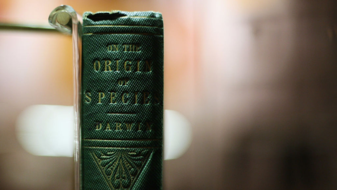A história por trás do Manuscrito de Darwin leiloado no Reino Unido