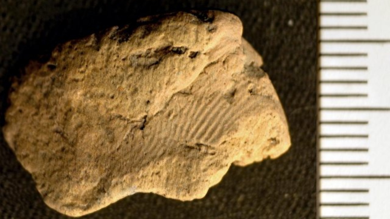 Impressões digitais são encontradas em peça de cerâmica de 5 mil anos