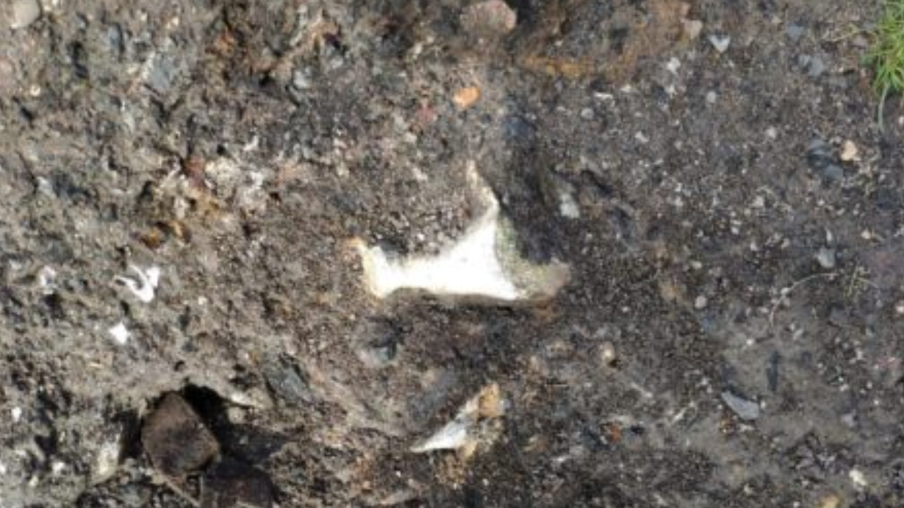Após um mês, mistério dos ossos encontrados em caverna da Escócia é desvendado