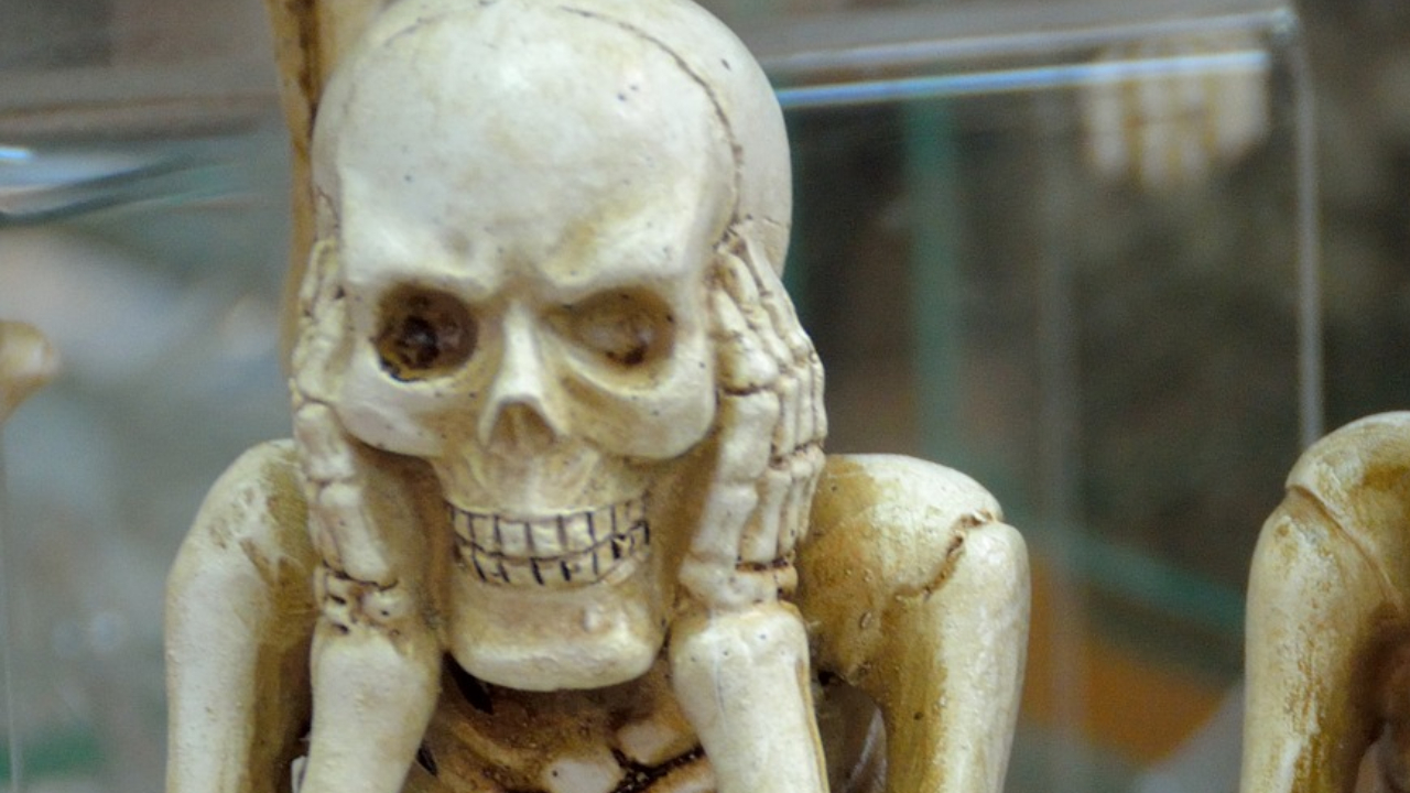 Infecções de ouvido são detectadas em restos humanos de 15 mil anos