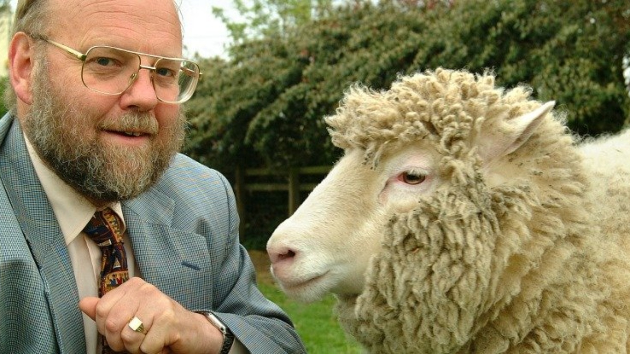 Morre aos 79 anos líder da equipe que criou Dolly, a 1ª ovelha clonada do mundo