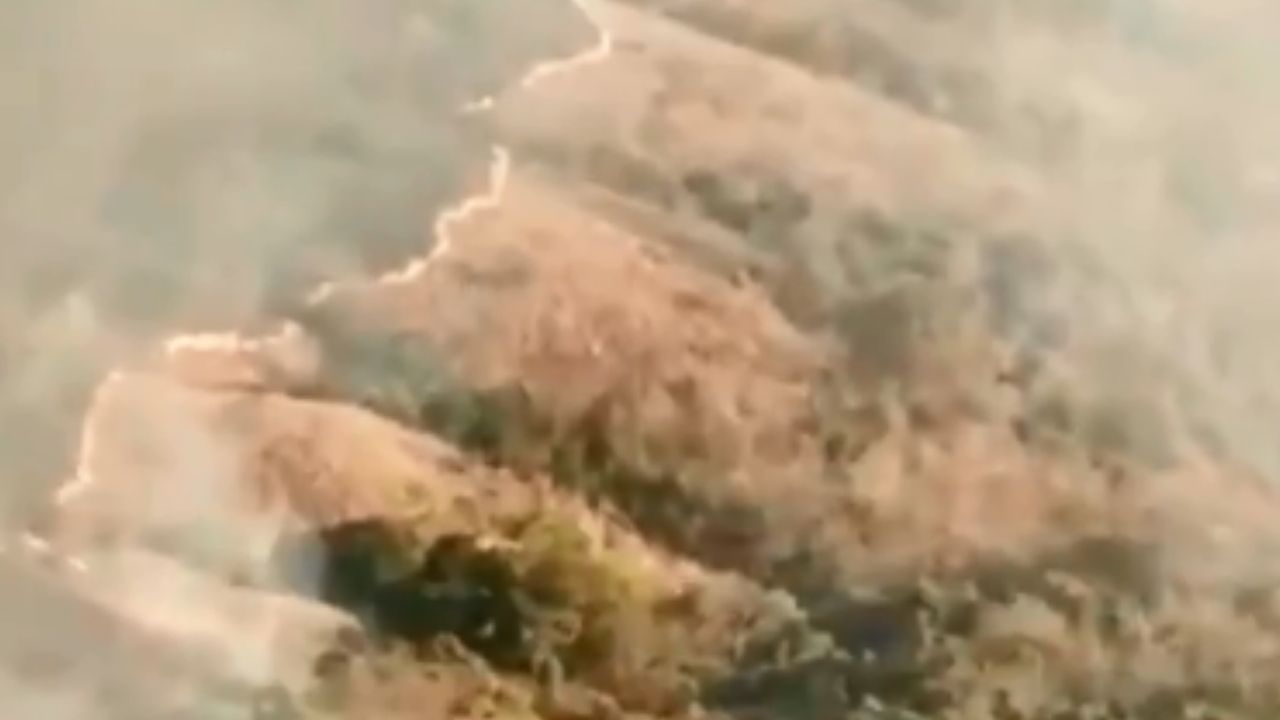 Segundo investigação da PF, incêndios no Pantanal começaram em grandes fazendas