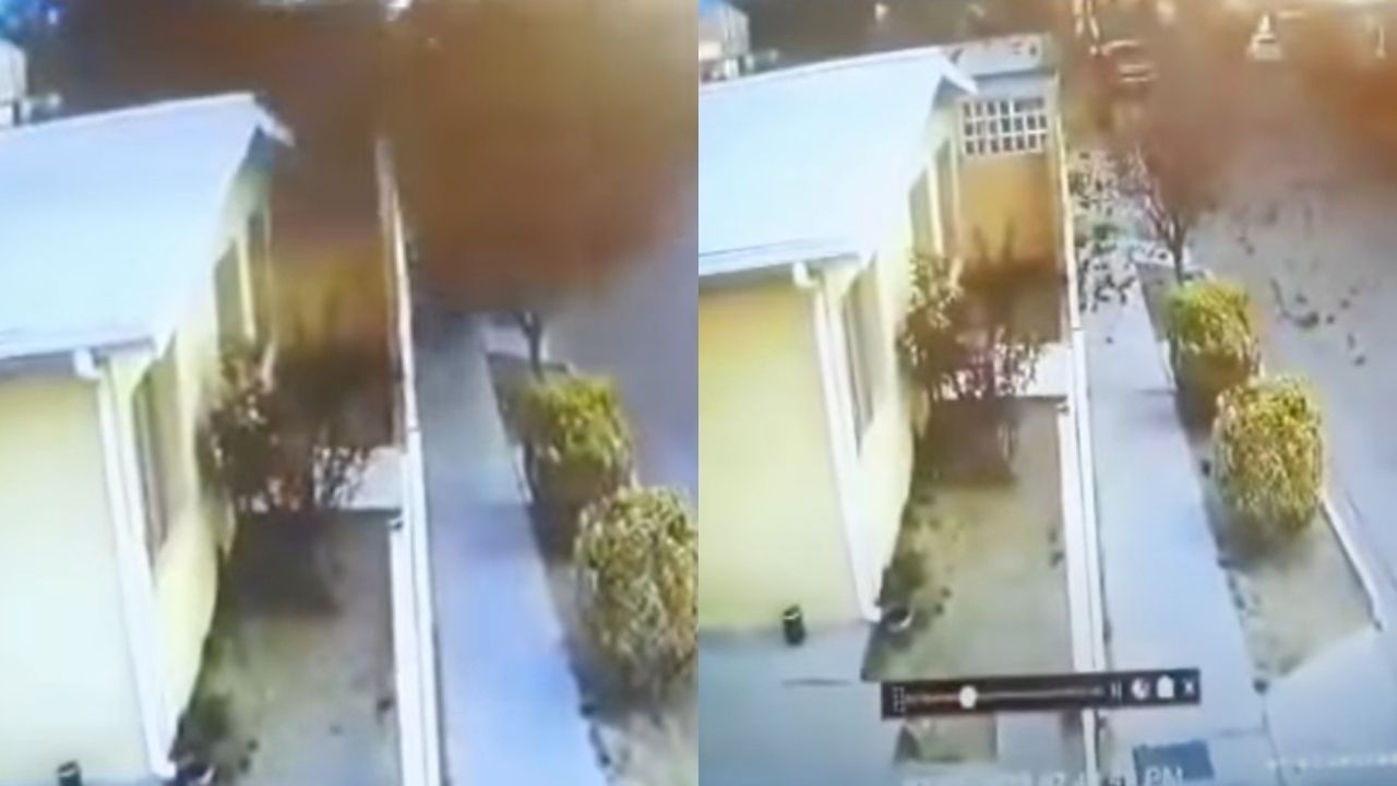 No México, nuvem de aves mortas cai em cima de casa