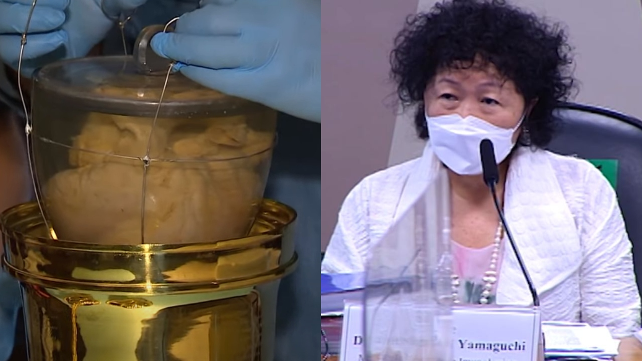 Médica que participou da CPI da Covid idealizou a vinda do coração de D. Pedro ao Brasil
