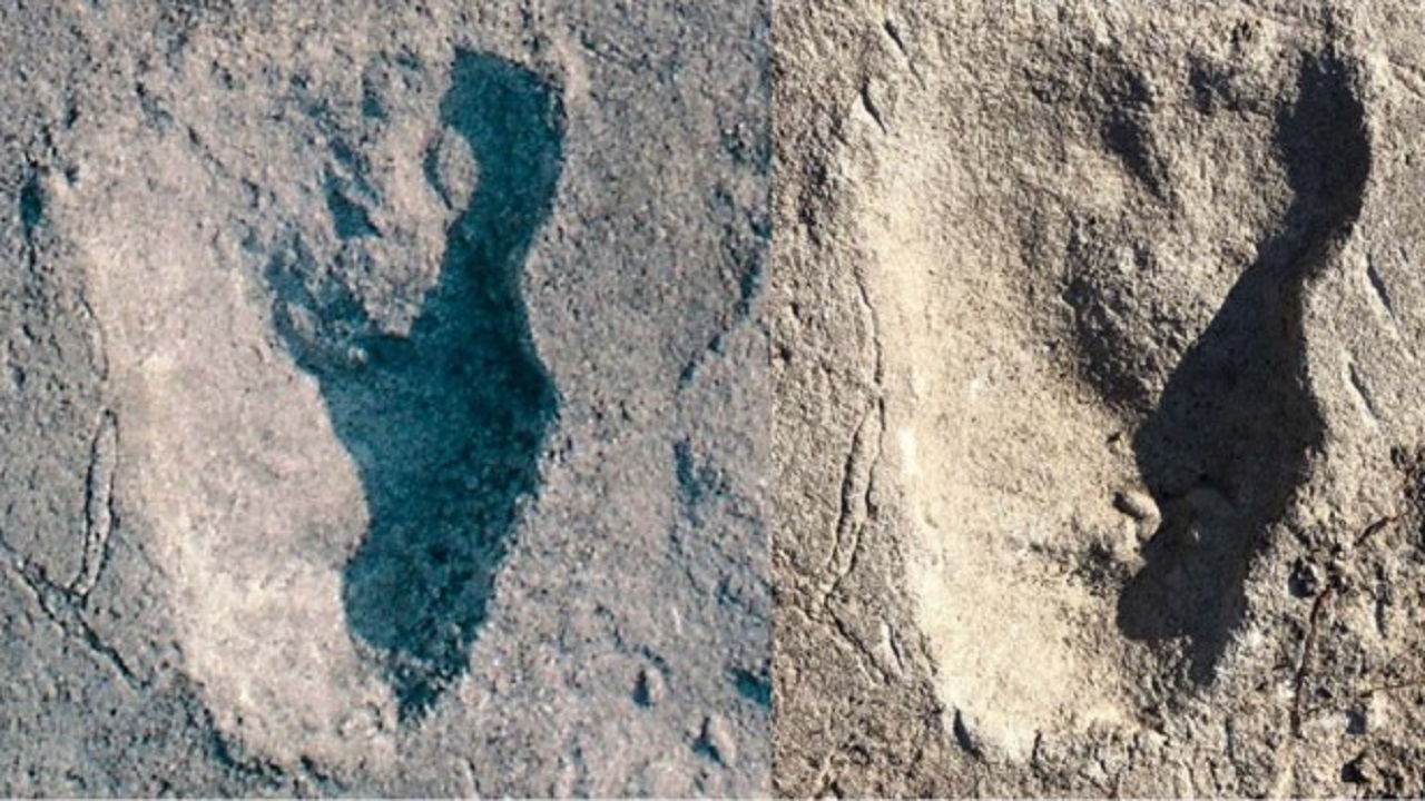 Pegadas de 3,7 milhões de anos podem ser de humanos antigos