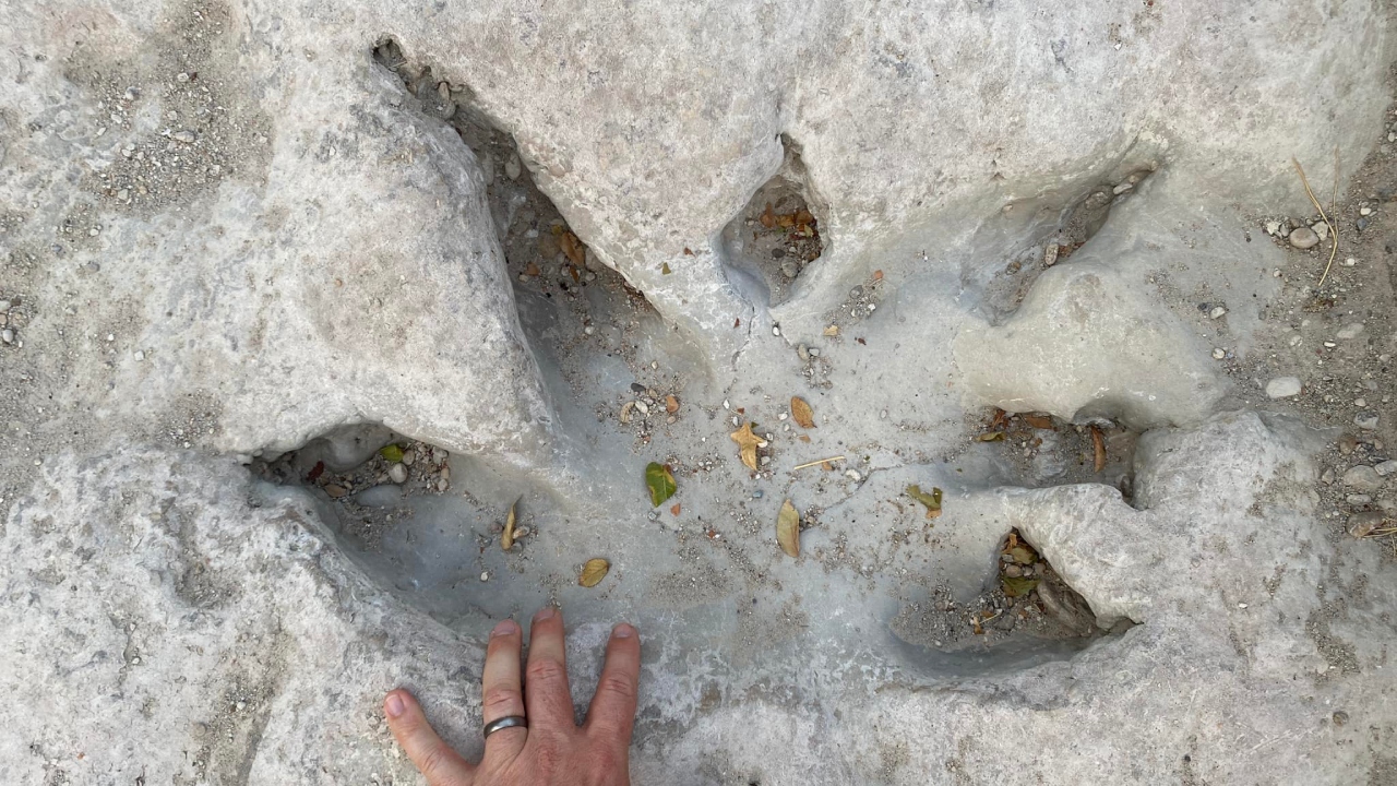 EUA: seca no Texas revela pegadas de dinossauros no rio Paluxy