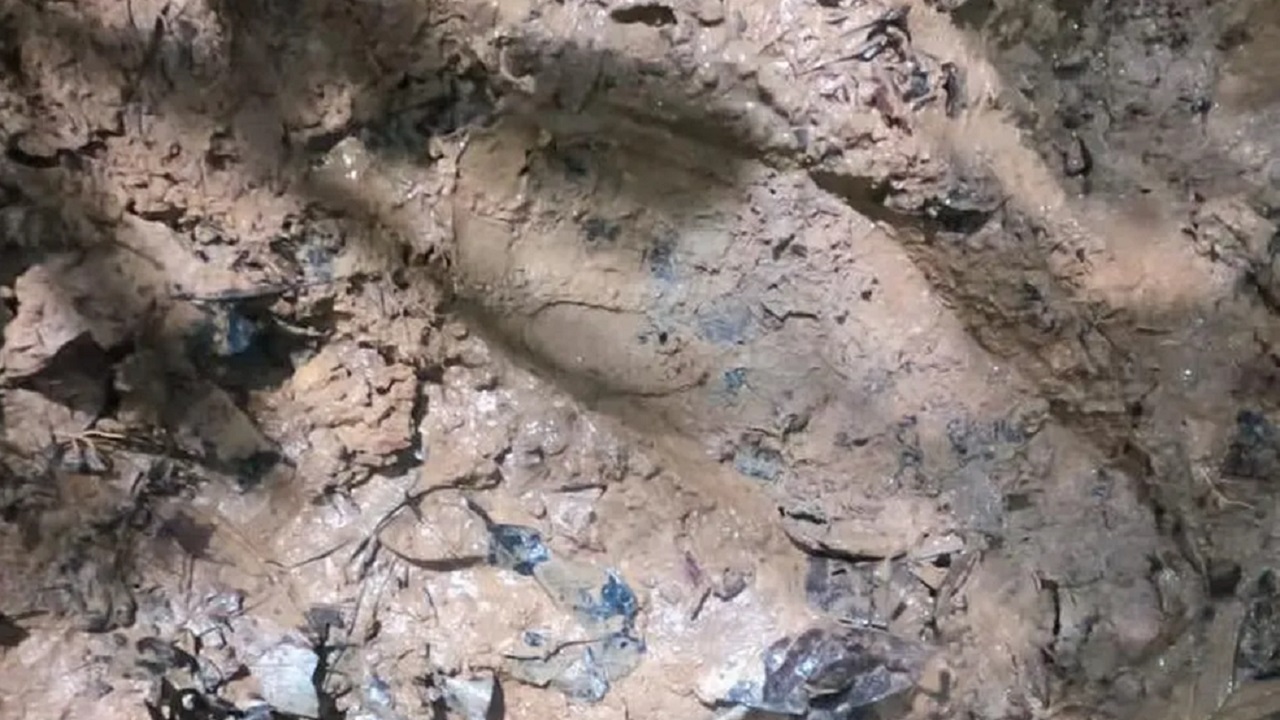 Pegada de criança desaparecida na Amazônia colombiana é encontrada