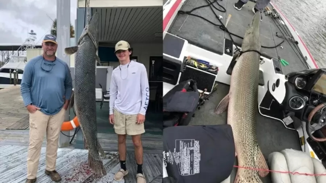 Durante pescaria, pai e filho fisgam peixe da época dos dinossauros nos EUA
