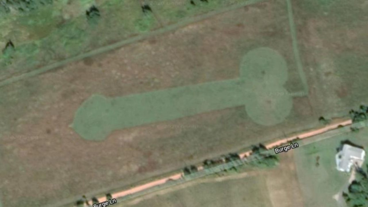 No Canadá, homem desenha pênis de 243 metros em campo de soja