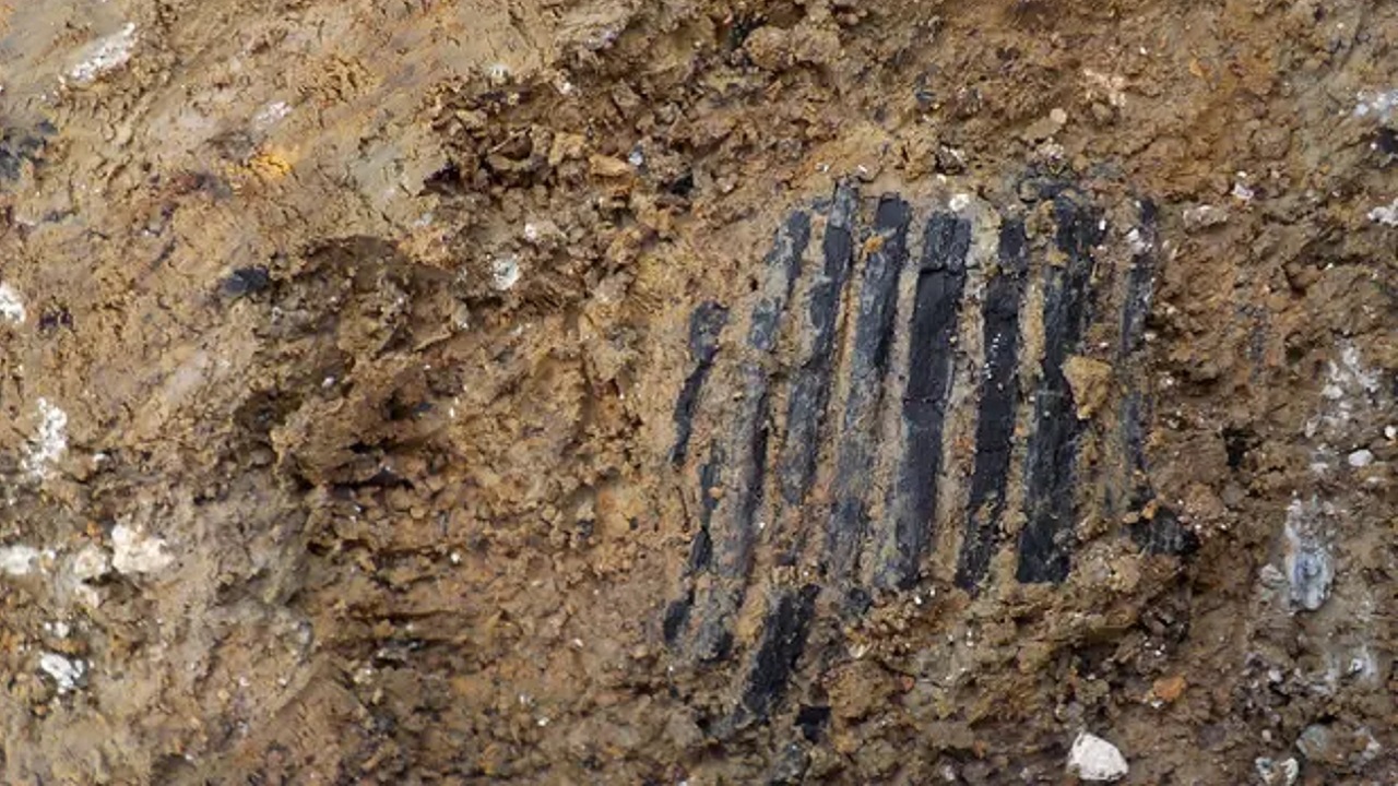 Pente de madeira de 3 mil anos pode mudar maneira como vemos os pré-históricos